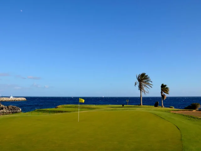 https://media.costalessgolf.com/2015/05/amarilla-golf-2a--640x480.webp
